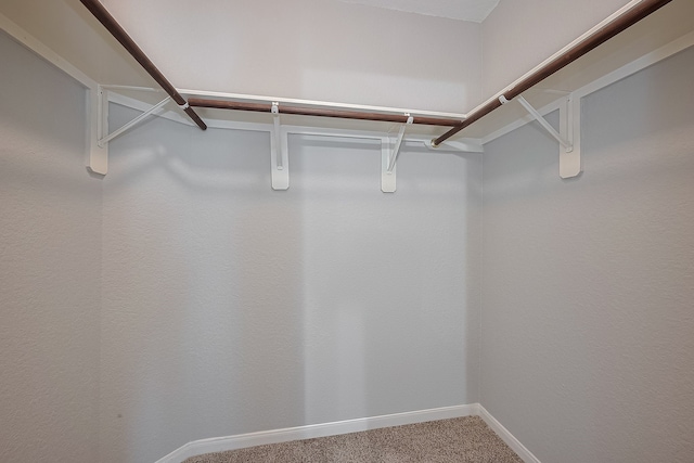 9714 Angleside Ln, Sugar Land, TX 77498 - walk in closet with carpet flooring