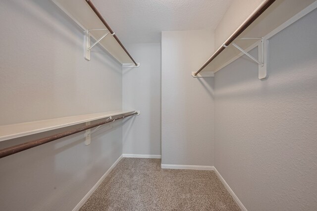 9714 Angleside Ln, Sugar Land, TX 77498 - walk in closet featuring light carpet