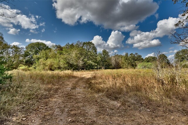 4277 Opersteny Rd, Bryan, TX 77808 - photo 6