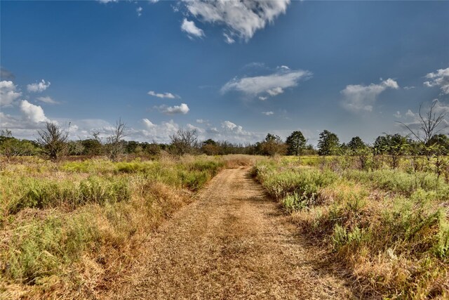 4277 Opersteny Rd, Bryan, TX 77808 - photo 7