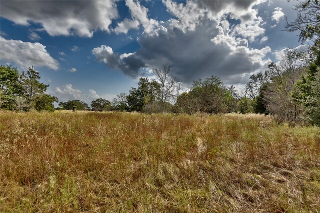 4277 Opersteny Rd, Bryan, TX 77808 - photo 8