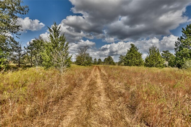 4277 Opersteny Rd, Bryan, TX 77808 - photo 10