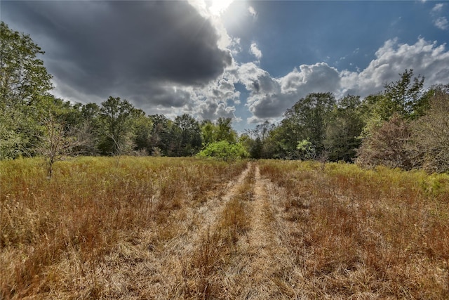 4277 Opersteny Rd, Bryan, TX 77808 - photo 13