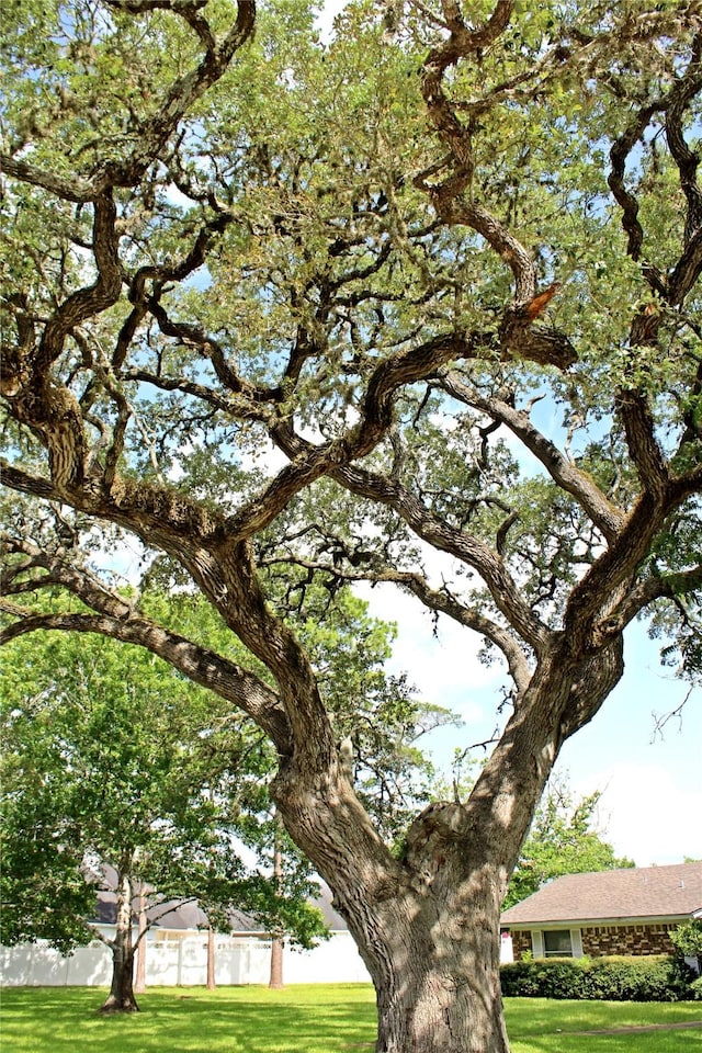 216 N St, Columbus, TX 78934 - view of community with a yard