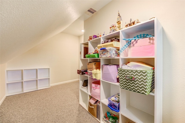 11823 Blair Meadow Dr, Meadows Place, TX 77477 - view of storage area