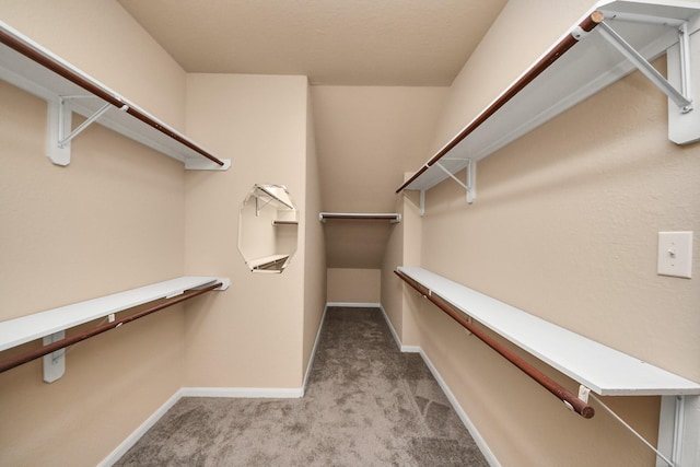 30041 Willow Walk Ln, Brookshire, TX 77423 - spacious closet featuring carpet