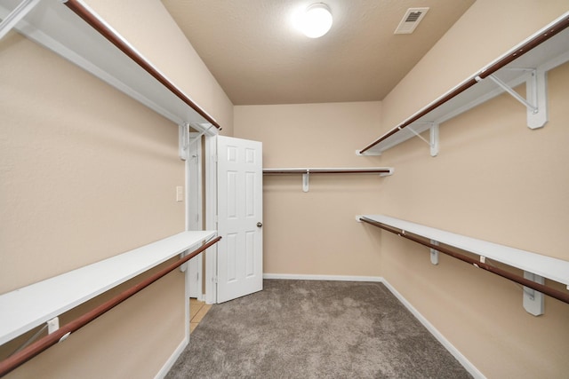 30041 Willow Walk Ln, Brookshire, TX 77423 - spacious closet with light colored carpet