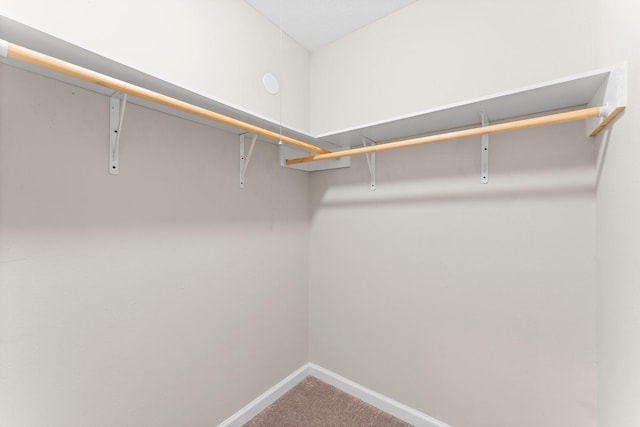 3527 Acorn Way Ln, Spring, TX 77389 - walk in closet with carpet flooring