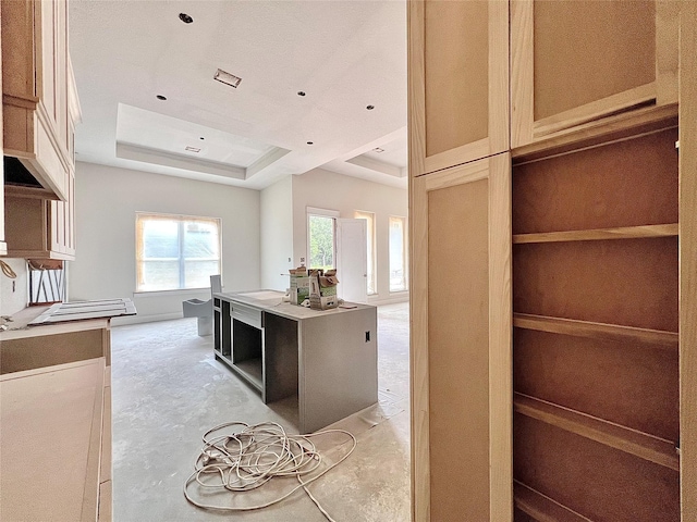 1162 Rd 6604, Dayton, TX 77535 - kitchen with a tray ceiling and unfinished concrete floors