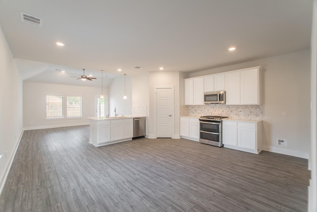 10663 Whitejacket, Conroe, TX 77385 - kitchen featuring stainless steel appliances, open floor plan, tasteful backsplash, dark wood-type flooring, and a ceiling fan