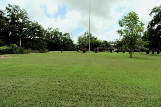 6615 Live Oak Dr, Freeport, TX 77541 - surrounding community with a yard and view of wooded area