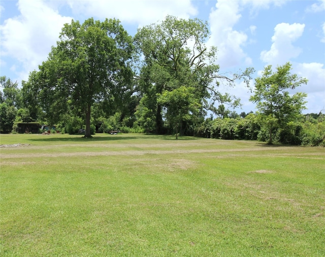 6615 Live Oak Dr, Freeport, TX 77541 - view of grassy yard