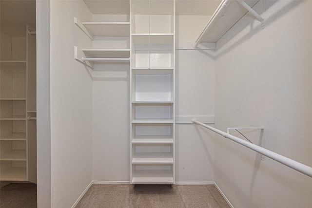 12633 Memorial Dr Unit 250, Houston, TX 77024 - walk in closet with carpet flooring