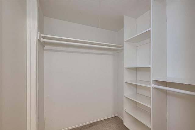 12633 Memorial Dr Unit 250, Houston, TX 77024 - spacious closet with carpet