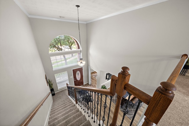 15026 Grape Orchard Ct, Cypress, TX 77433 - stairway with carpet flooring, a high ceiling, and ornamental molding