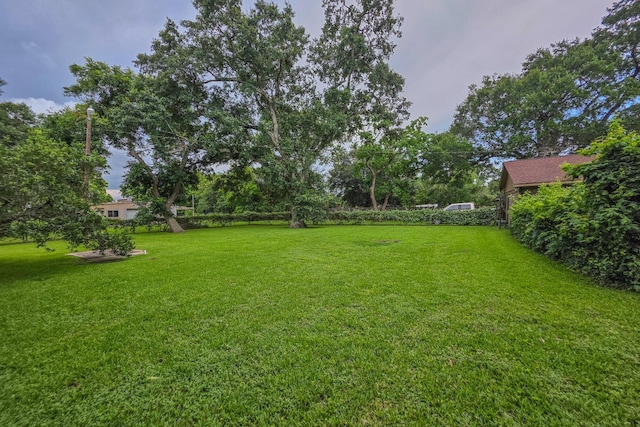 1655 E S St, Alvin, TX 77511