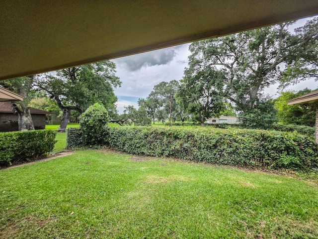 1655 E S St, Alvin, TX 77511 - photo 40