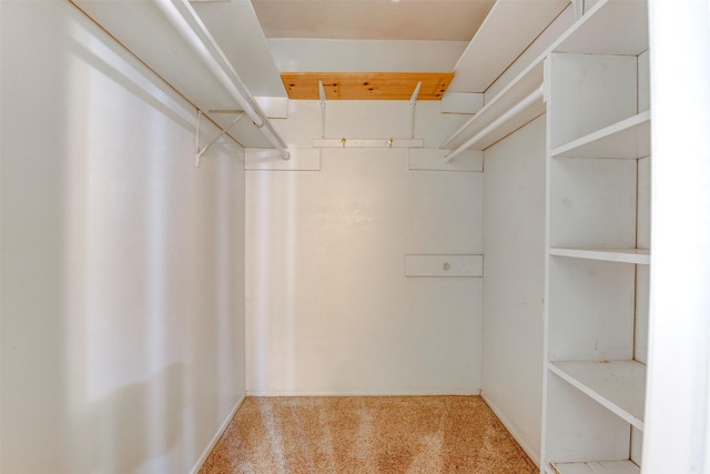 22619 Rockgate Dr, Spring, TX 77373 - walk in closet with carpet floors