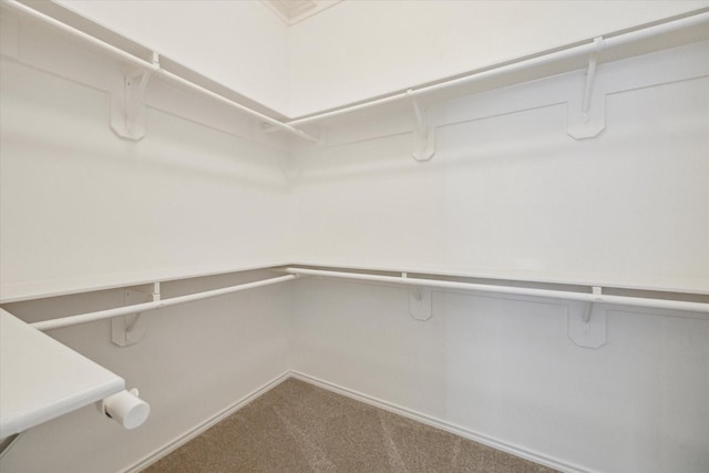 8211 Broken Timber Way, Houston, TX 77095 - walk in closet with carpet floors