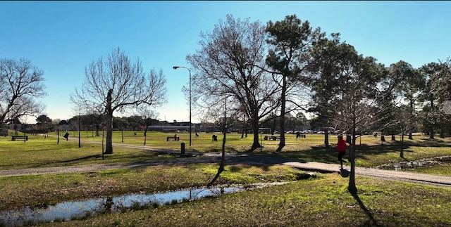 7123 Galleon Dr, Houston, TX 77036 - view of home's community with a lawn