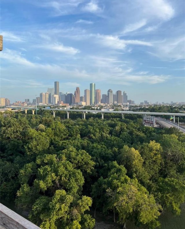 2520 Houston Ave Unit 701, Houston, TX 77009 - view of city skyline