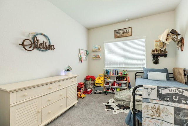 2337 Shalmar Dr, West Columbia, TX 77486 - bedroom with light colored carpet
