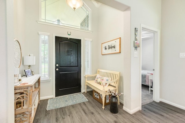2337 Shalmar Dr, West Columbia, TX 77486 - foyer entrance with wood finished floors and a towering ceiling