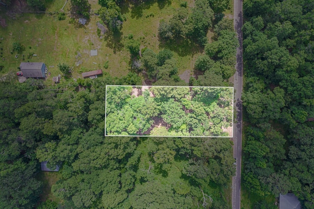 445 Swick Trl, Livingston, TX 77351 - photo 1
