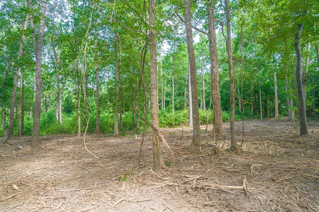 445 Swick Trl, Livingston, TX 77351 - photo 6