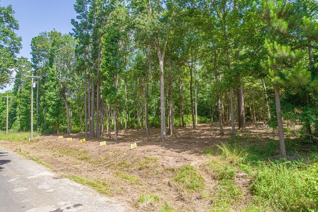 445 Swick Trl, Livingston, TX 77351 - photo 3