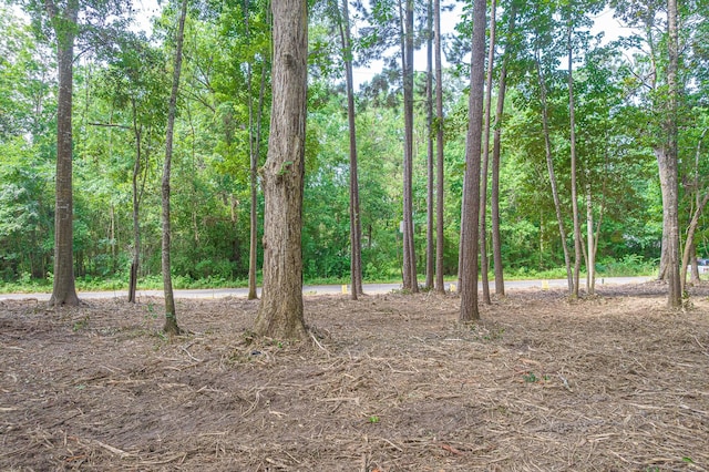 445 Swick Trl, Livingston, TX 77351 - photo 2