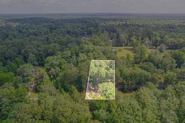 445 Swick Trl, Livingston, TX 77351 - photo 7