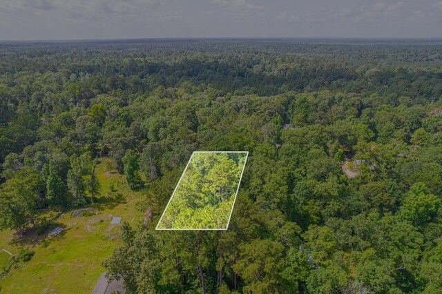 445 Swick Trl, Livingston, TX 77351 - photo 10