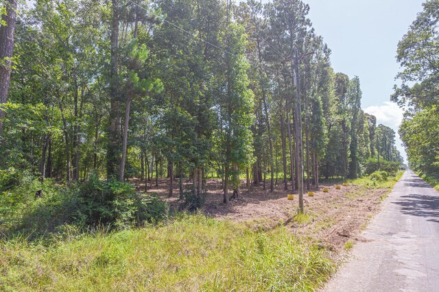 445 Swick Trl, Livingston, TX 77351 - photo 11