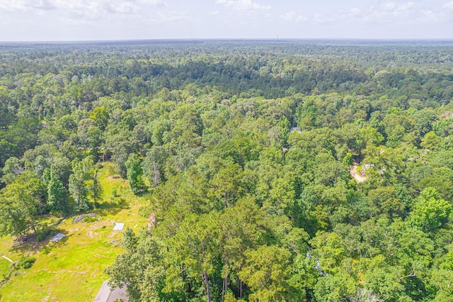 445 Swick Trl, Livingston, TX 77351 - photo 16