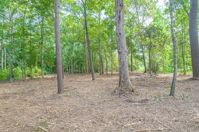 445 Swick Trl, Livingston, TX 77351 - photo 8