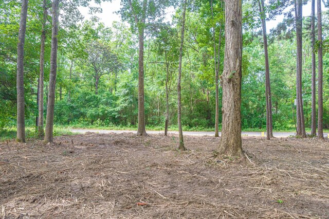 445 Swick Trl, Livingston, TX 77351 - photo 5