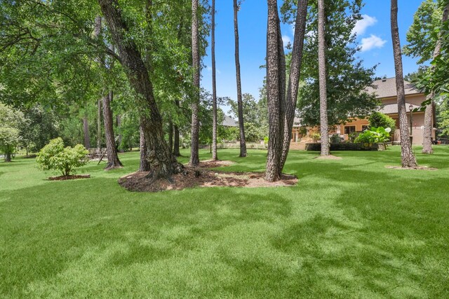 28227 Kailees Ct, Spring, TX 77386 - photo 50