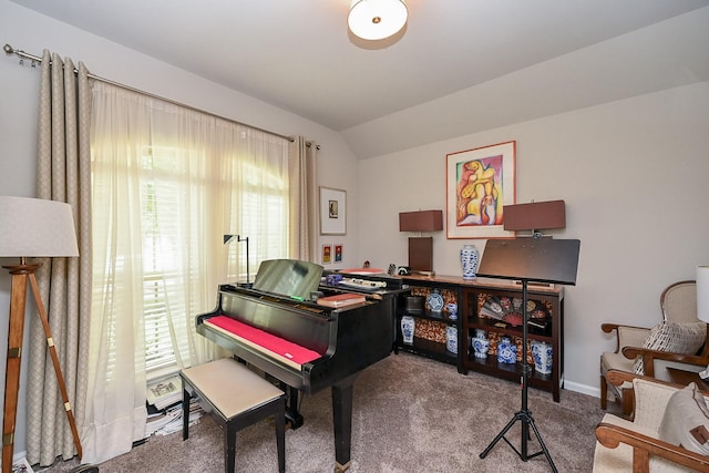 12207 Green City Ln, Houston, TX 77047 - carpeted office space featuring vaulted ceiling and baseboards
