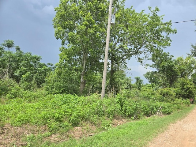 0017 Gordon Side Rd, Fulshear, TX 77441