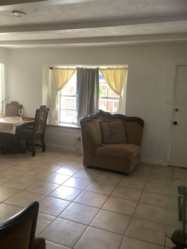 9406 Jolly Wood Ct, Houston, TX 77086 - living room featuring light tile patterned floors and baseboards