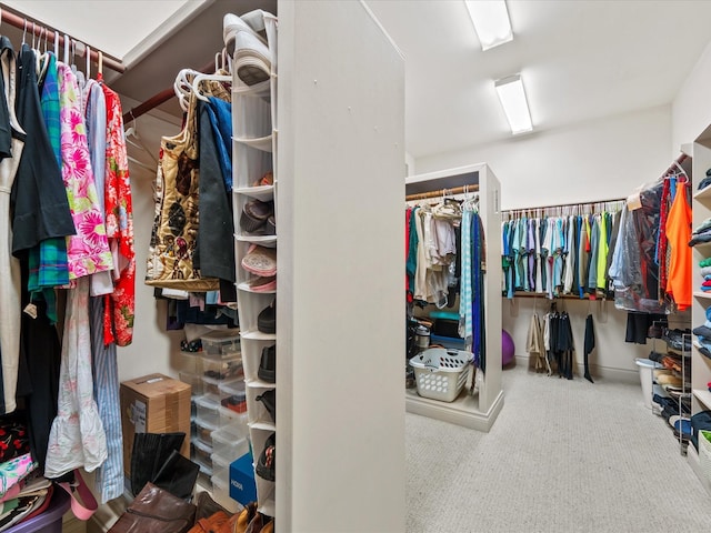 6922 Carolina Cherry Ln, Spring, TX 77389 - spacious closet with carpet flooring