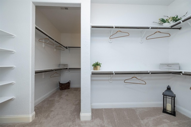 27619 Dalton Bluff Ct, Katy, TX 77494 - walk in closet with carpet flooring