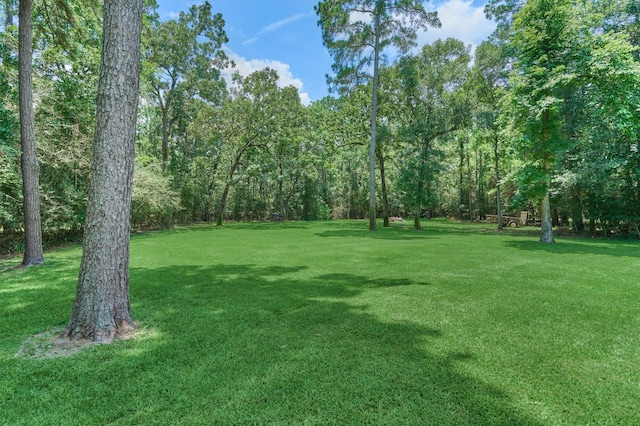 9331 Miller Rd, Magnolia, TX 77354 - photo 36
