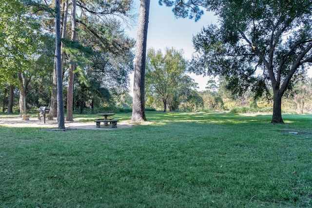 14655 Champion Forest Dr Unit 905, Houston, TX 77069 - photo 25