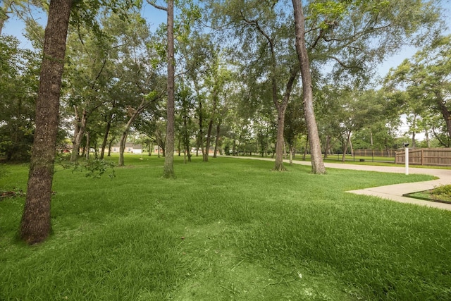 3115 Yupon St, Dickinson, TX 77539 - photo 8