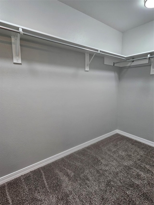 7715 Lobera Dr, Houston, TX 77083 - spacious closet with carpet flooring