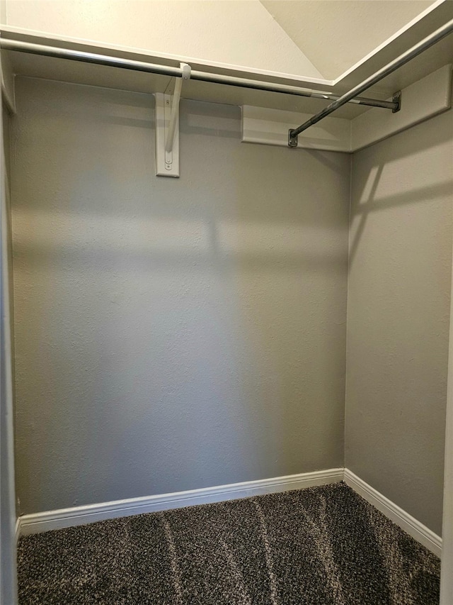 7715 Lobera Dr, Houston, TX 77083 - walk in closet with carpet