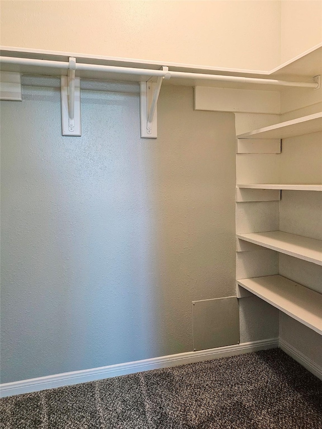 7715 Lobera Dr, Houston, TX 77083 - walk in closet featuring carpet