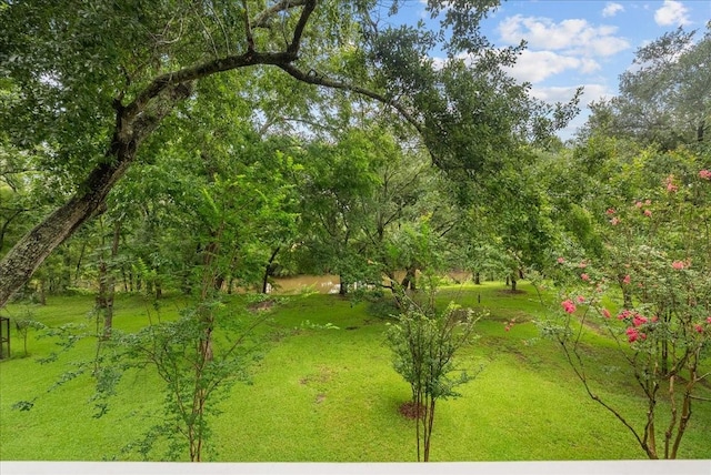 1306 Rosewood Dr, Dickinson, TX 77539 - photo 40